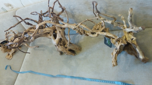 Driftwood коряги