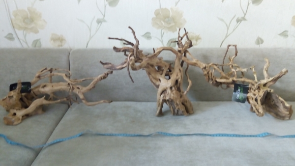 Desert Driftwood