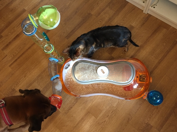 замок для грызунов купить