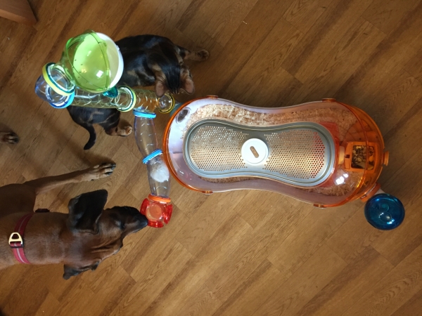 тоннель для хомяка своими руками