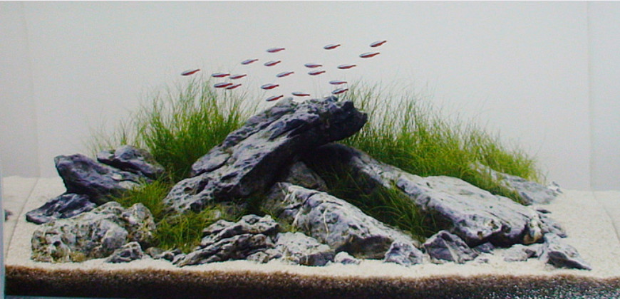 "Скандинавский щебень"