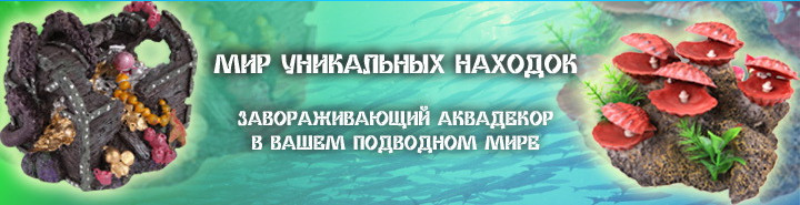 Аквариумистика