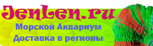 Морские гидробионты и кораллы под заказ