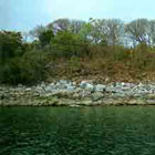 Зона обвалов горных пород на побережье озера Таньгаика продолжается и под водой.По камням отчётливо видно, как меняется высота водного зеркала. На фотографии: близ бухты Касаба, Северная Замбия