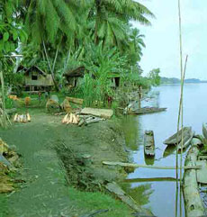 Большинство поселений на материке Новой Гвинеи стоят на воде - как вот этот поселок у реки Сепик, к востоку от Амбунти. К сожалению, засилье африканских тиляпий оттеснило и сильно сократило естественную местную фауну.